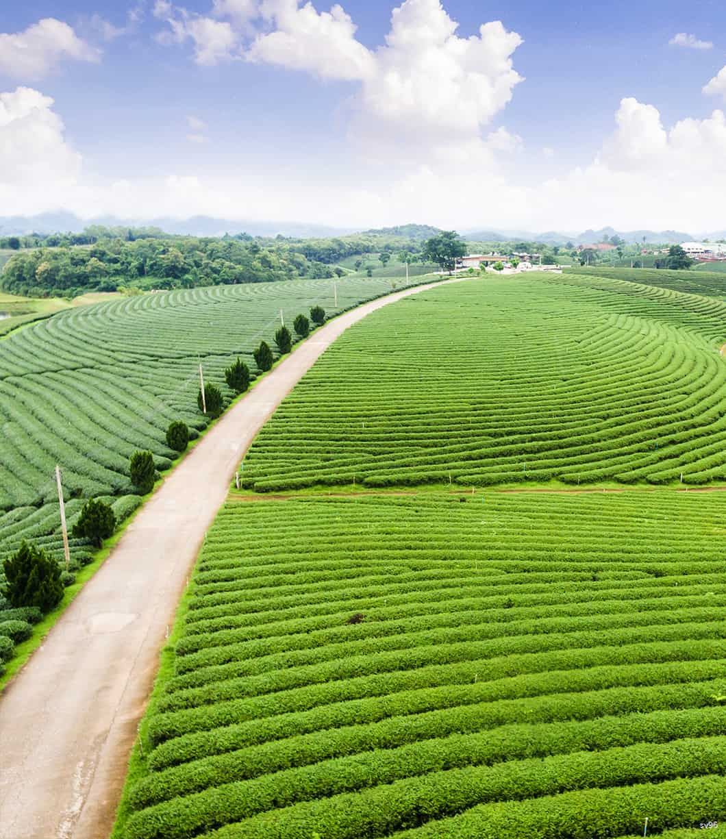 tâm điểm la beaute